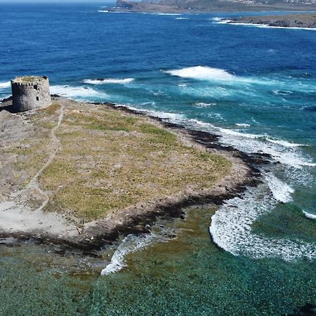 Apartament Il Faro La Ciaccia Valledoria  Zewnętrze zdjęcie